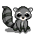 (September 2008) Raccoon